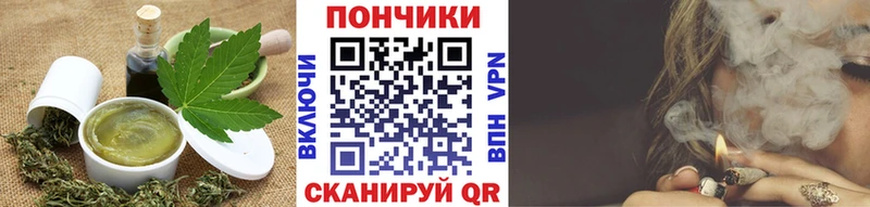 Купить закладки  Изобильный  Cannafood конопля 