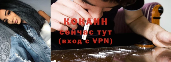 mdpv Инта