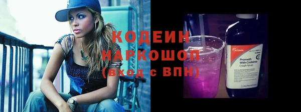 МДПВ Инсар