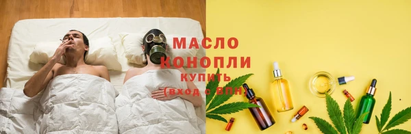 МДПВ Инсар