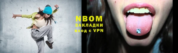 МДПВ Инсар