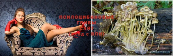 МДПВ Инсар